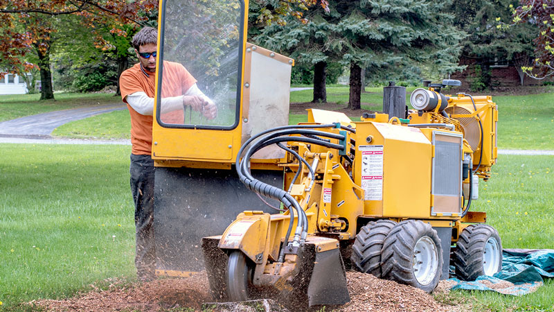 Stump Grinding Sandston, VA